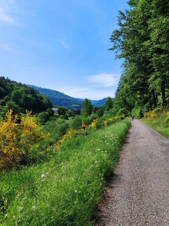 Fewo Albtaleck - Wohnen Im Kurort Waldbronn Buitenkant foto