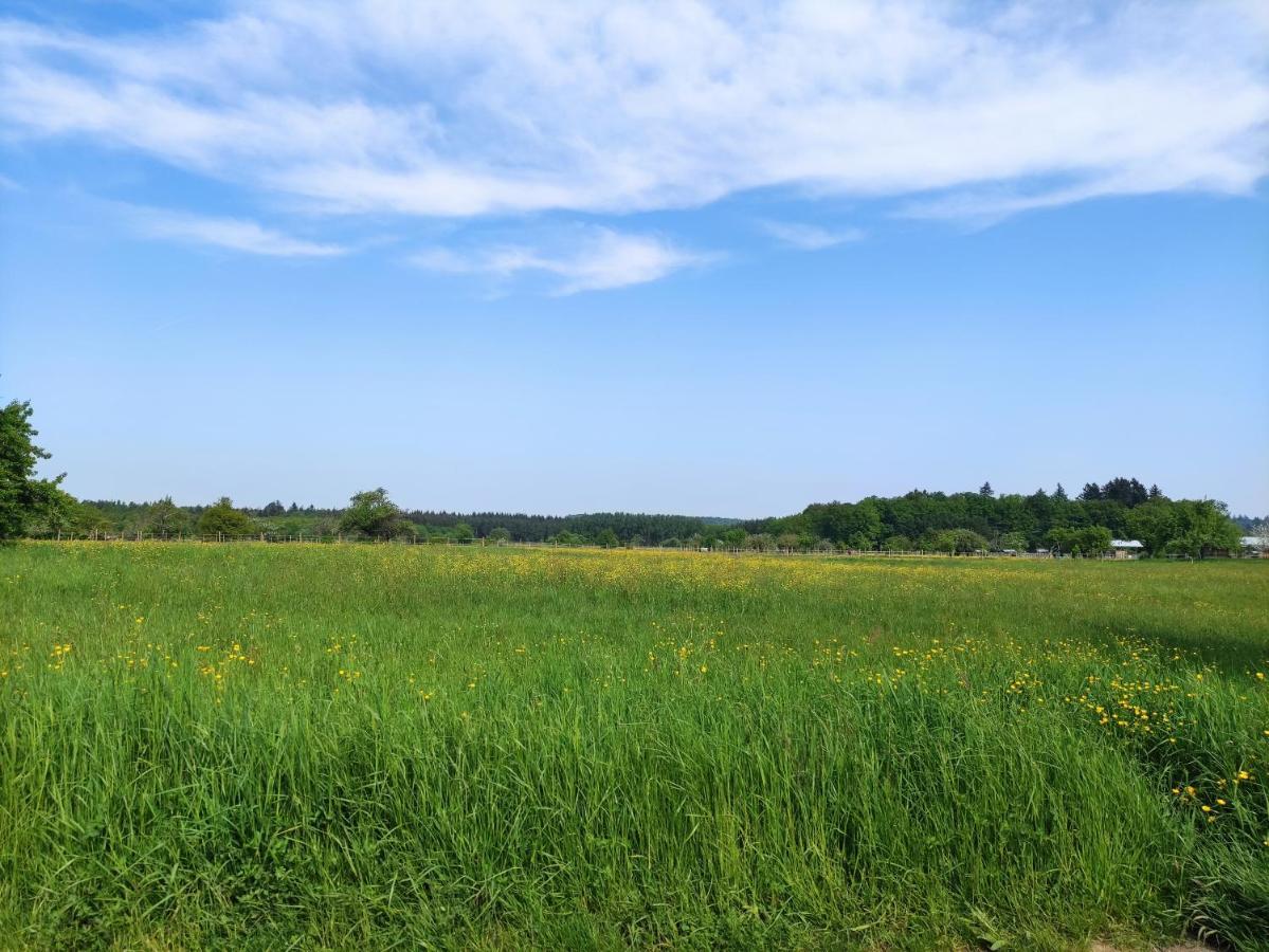 Fewo Albtaleck - Wohnen Im Kurort Waldbronn Buitenkant foto